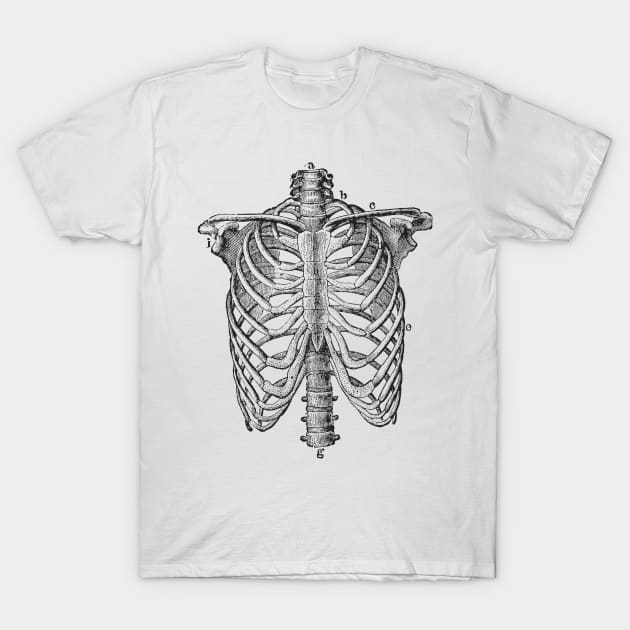 Anatomy lungs T-Shirt by Signum